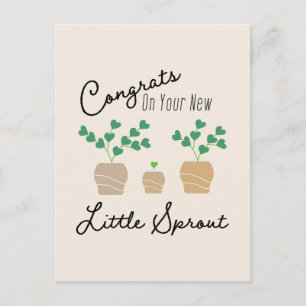 Congrats on Your New Little Sprout Baby Postcard