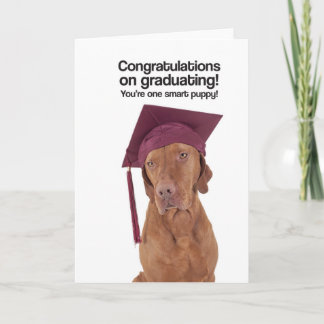 Congrats sur recevoir un diplôme (Vizsla) - carte