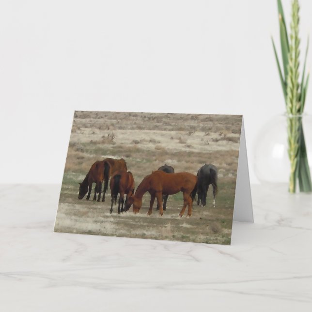 Congrats to New Vet Graduate - Ranch or Farm DVM Card (Front)