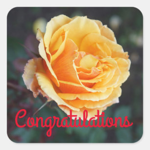 Congratulations About Face Rose #3 Stickers
