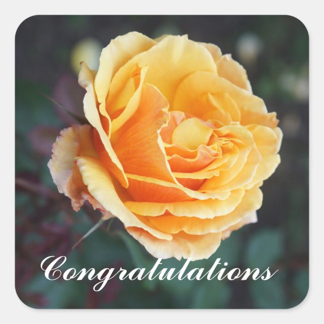 Congratulations About Face Rose #3 Stickers (Front)