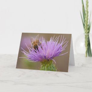Congratulations Bee on Purple Thistle Photo Custom Card
