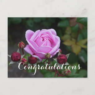 Congratulations Bishop’s Castle #1 Postcard