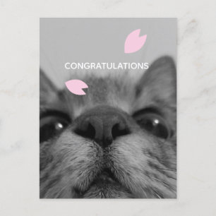 Congratulations  Blank Postcard 