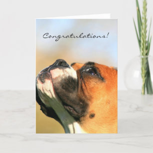 Congratulations Boxer Dog Greeting Card