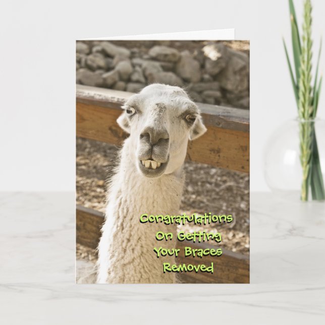 Congratulations Braces Off Llama Card (Front)