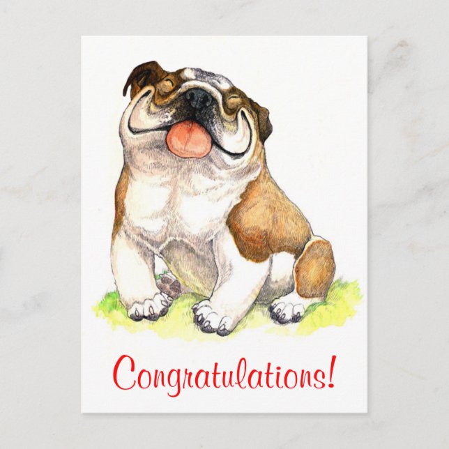 Congratulations Bulldog Puppy Dog Postcard (Front)