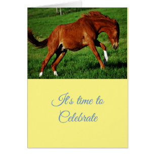Congratulations Celebration greetings 