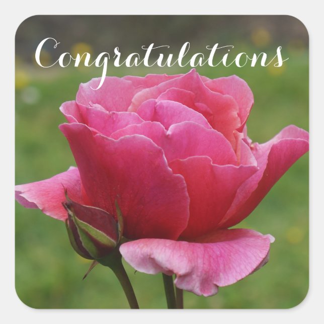 Congratulations Duet Rose #1-2 Stickers (Front)