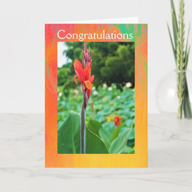 Congratulations Folded Greeting Card by Jo Images (Front)