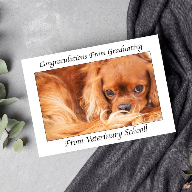 Congratulations From Graduating From Vet School Card (Creator Uploaded)