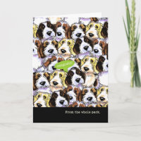 Congratulations from Group Funny PBGV Dogs