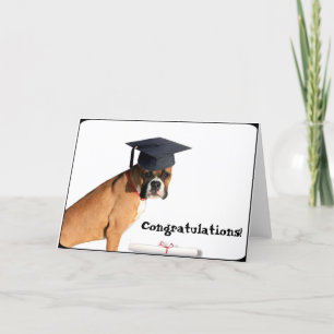 Congratulations graduate  Boxer greeting card