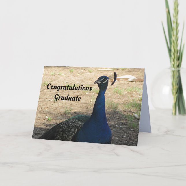 Congratulations Graduate Proud of You Graduation Holiday Card (Front)
