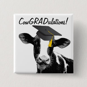 Congratulations Graduation Funny Cow in Cap 2 Inch Square Button