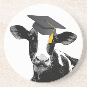 Congratulations Graduation Funny Cow in Cap Coaster