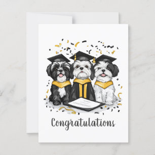 Congratulations Graduation Shih Tzu Dogs Postcard