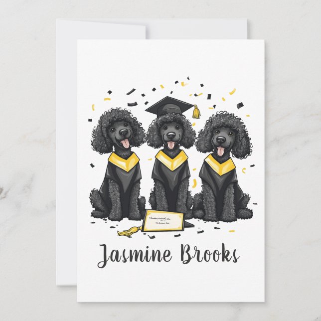 Congratulations Graduation Standard Poodle Dogs Announcement (Front)
