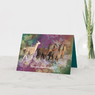 Congratulations! Llamas walking on clouds Card
