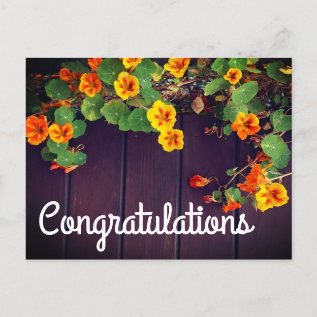 Congratulations Nasturtium Postcard (Front)