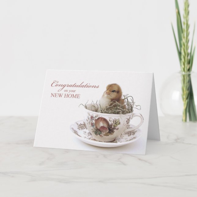Congratulations New Home, Chick in Teacup Card (Front)