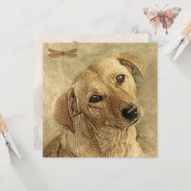 Congratulations on New Pet Dog Card (Creator Uploaded)