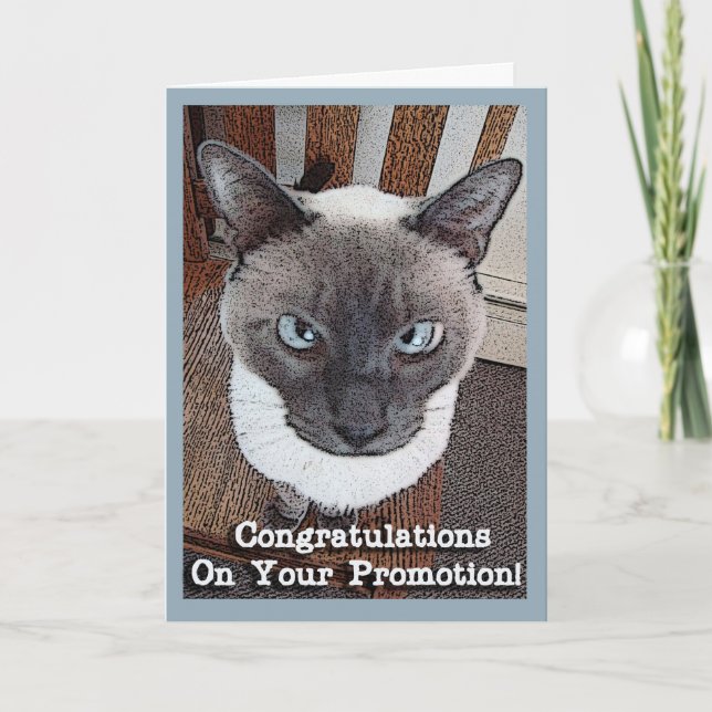 Congratulations on Promotion Funny Cat Card (Front)