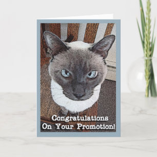 Congratulations on Promotion Funny Cat Card