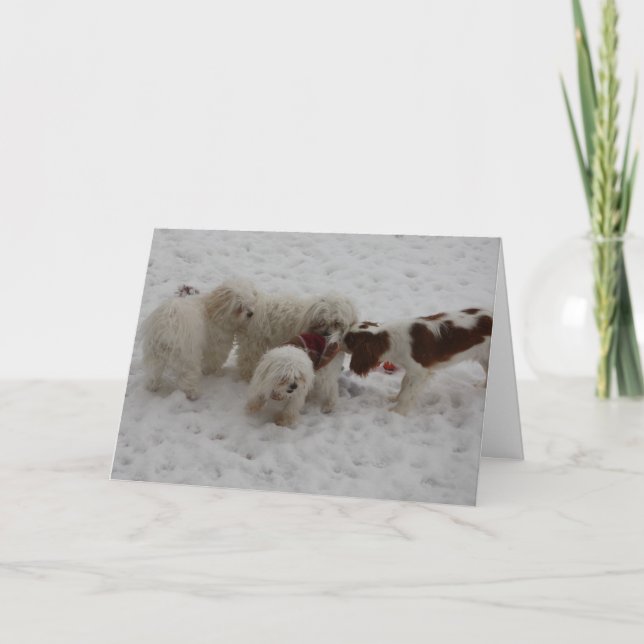 Congratulations on the New Job Card (Front)