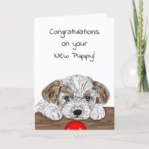 Congratulations on the New Puppy!  Card