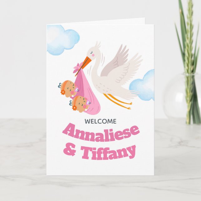 Congratulations on Twin Girls Stork Bundle Card (Front)