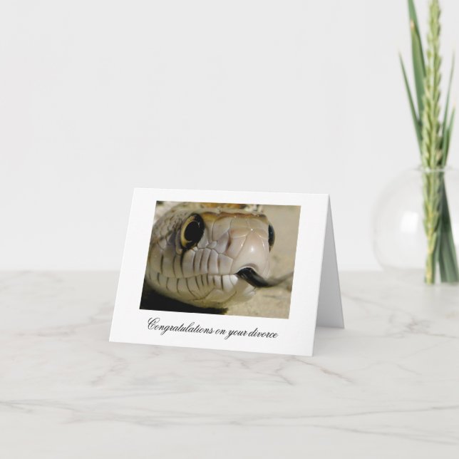 Congratulations on your divorce ... card (Front)