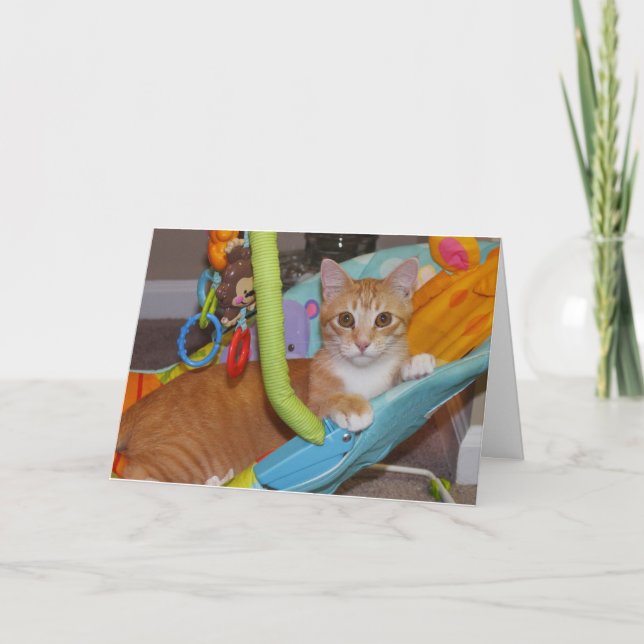 Congratulations on your new addition card (Front)