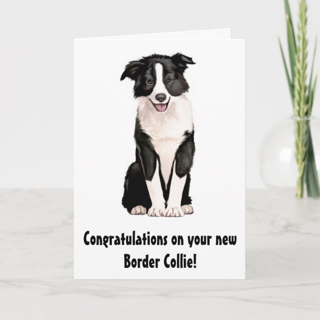 Congratulations on Your New Border Collie Card (Front)