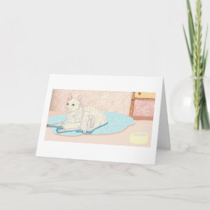 Congratulations On Your New Bundle Of Kitten!!!! Card