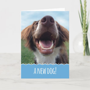 Congratulations on Your New Dog, Happy Pup Card