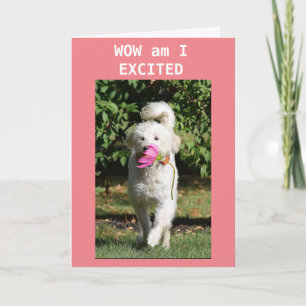 CONGRATULATIONS ON YOUR **NEW HOME** CARD