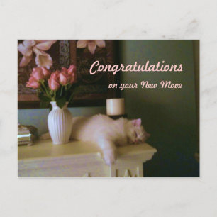 Congratulations on your New Move Postcard