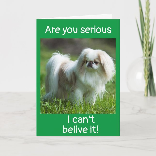  *CONGRATULATIONS* ON YOUR *NEW PUPPY* CARD (Front)