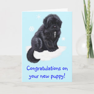 Congratulations on Your New Puppy Card