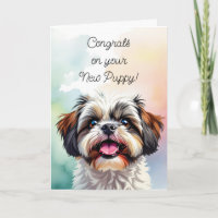 Congratulations on your New Puppy | Shih Tzu 