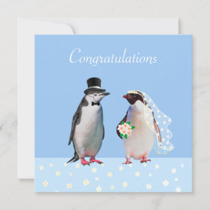 Congratulations on your Wedding & Penguin Couple
