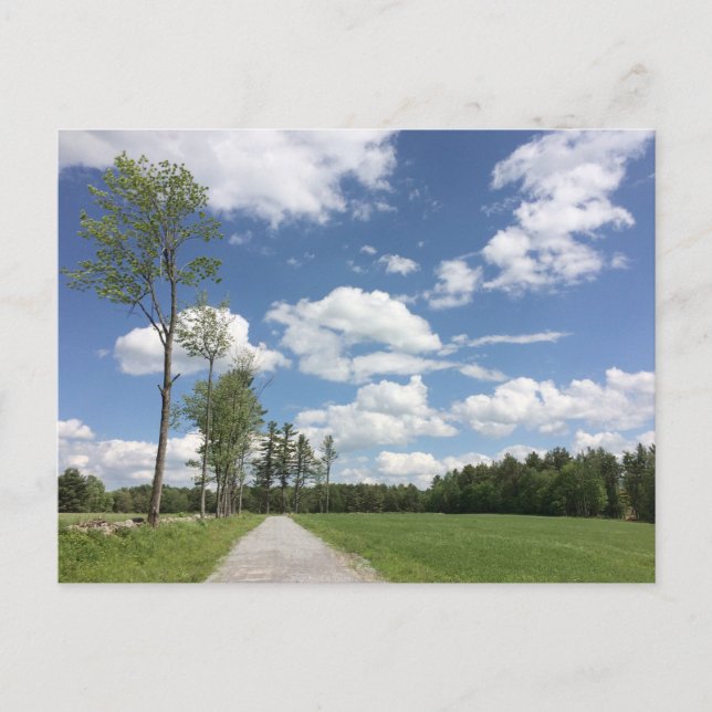 Congratulations!  OutSTANDING!  postcard (Front)