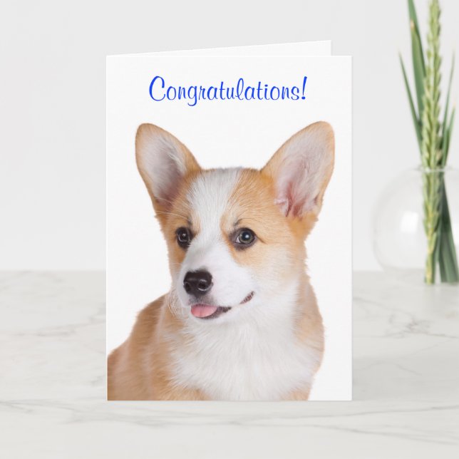 Congratulations Pembroke Welsh Corgi Greeting Card (Front)