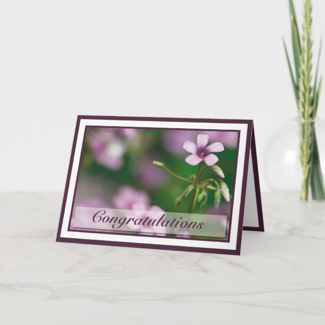 Congratulations - Pink Wood Sorrel Greeting Card (Front)