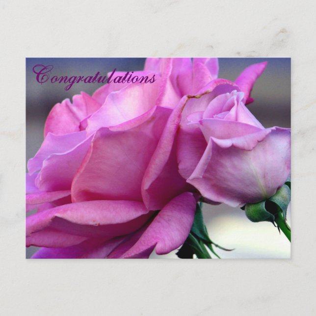 Congratulations_ Postcard (Front)