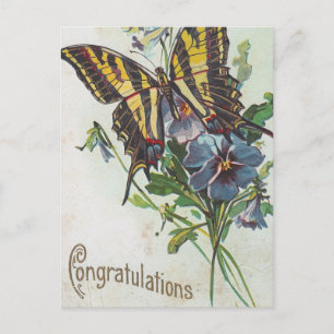 Congratulations Postcard