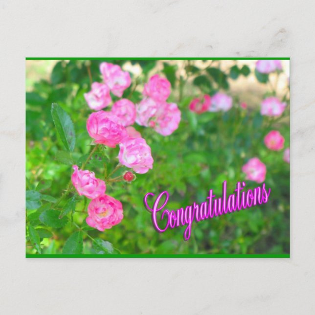 congratulations postcard (Front)