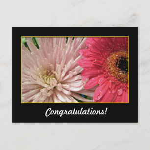 congratulations postcard