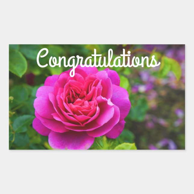 Congratulations Princess Anne Rose #1 Stickers (Front)